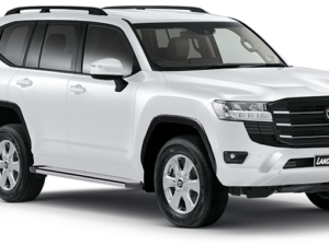 TOYOTA LANDCRUISER 300 FLOOR MATS