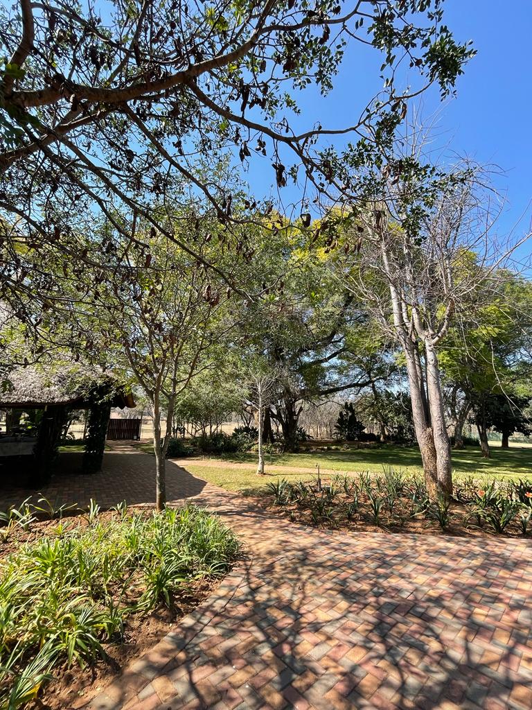 Main Lodge 1